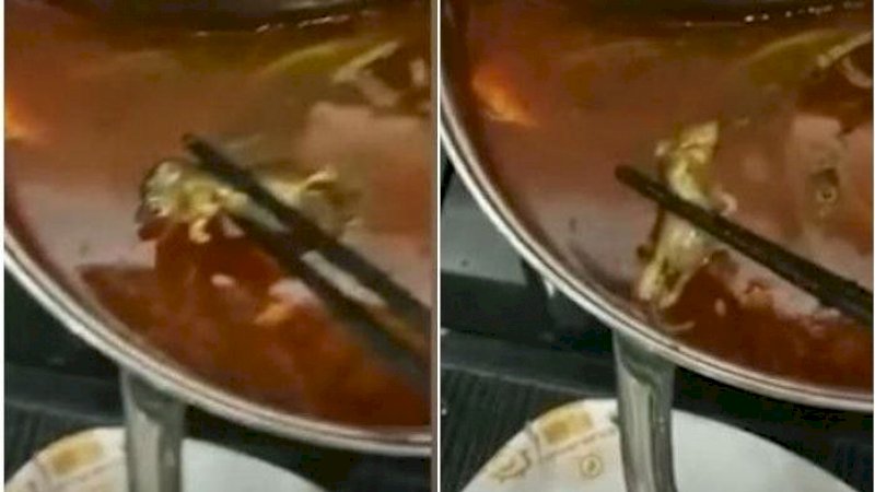 Duh! Ibu Hamil Makan Sup Tikus Mati, Pihak Resto Beri Rp43 Juta untuk Gugurkan Kandungan