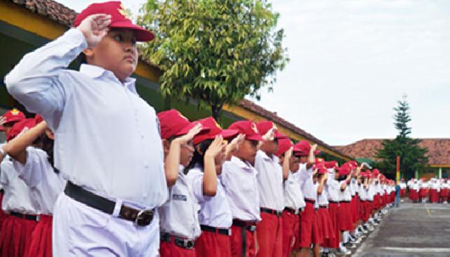 Disdik Riau Lakukan Pembinaan dan Seleksi Peserta OSN SD/MI