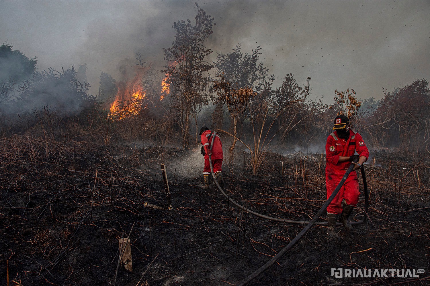 50 Titik Panas Terdeteksi di Riau, Tiga Di Antaranya Dipastikan Titik Api