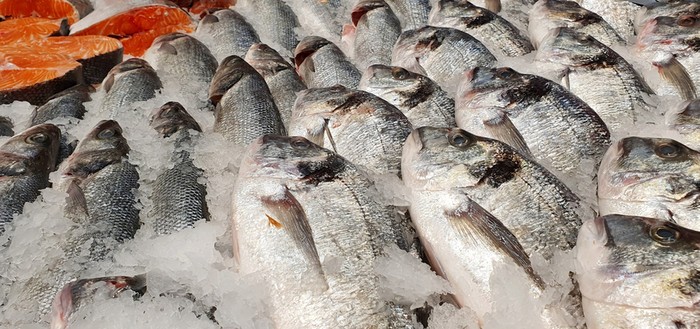 Alasan Mengapa Bangkai Ikan Halal Dikonsumsi