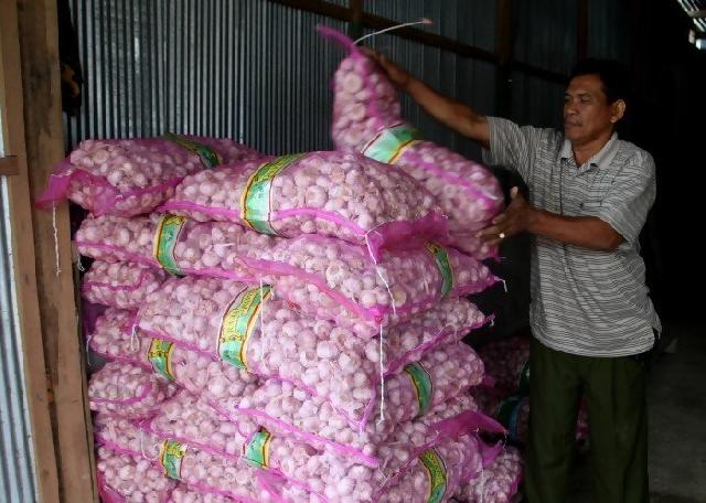Polisi gerebek gudang penimbunan 182 ton bawang putih