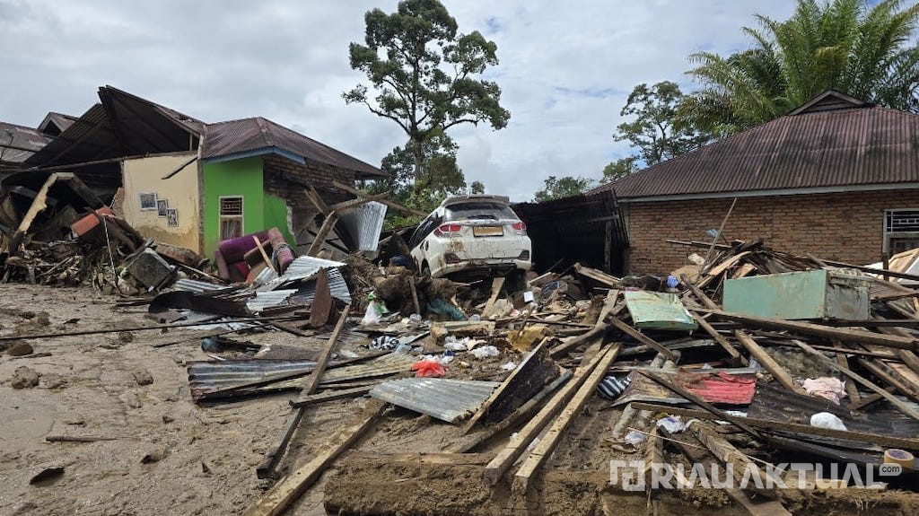 Bayi 3 Bulan Selamat Tersangkut Pohon Saat Galodo Agam, 6 Keluarganya Tewas
