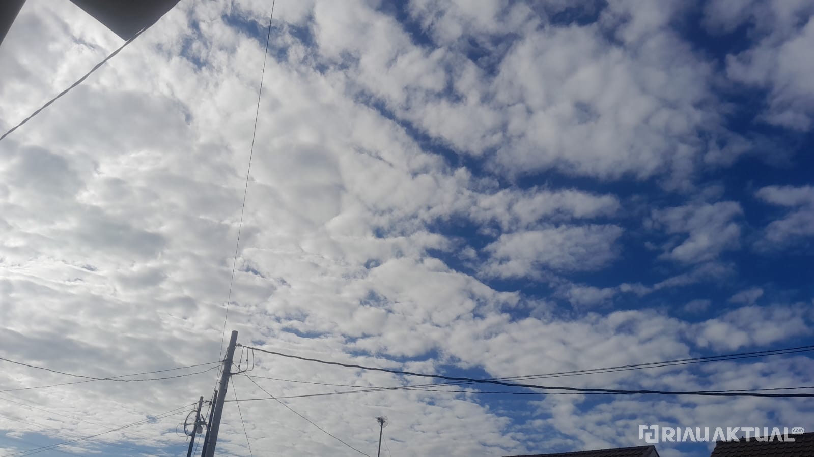 Pagi Cerah Berawan, Siang hingga Malam Sejumlah Wilayah di Riau Diprediksi Hujan