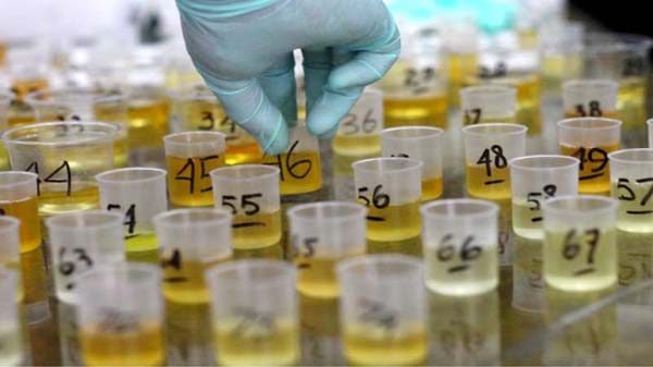 Ratusan Kades Ini Kaget Saat BNN Lakukan Tes Urine