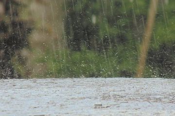 BMKG: 4 Daerah di Riau Ini Waspada Hujan Angin Disertai Petir di Sore dan Malam Hari