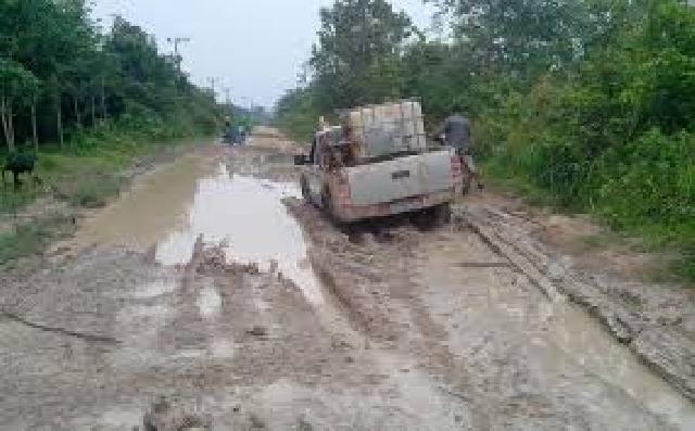 Warga Desa RBS Minta Dilakukan Perbaikan Jalan