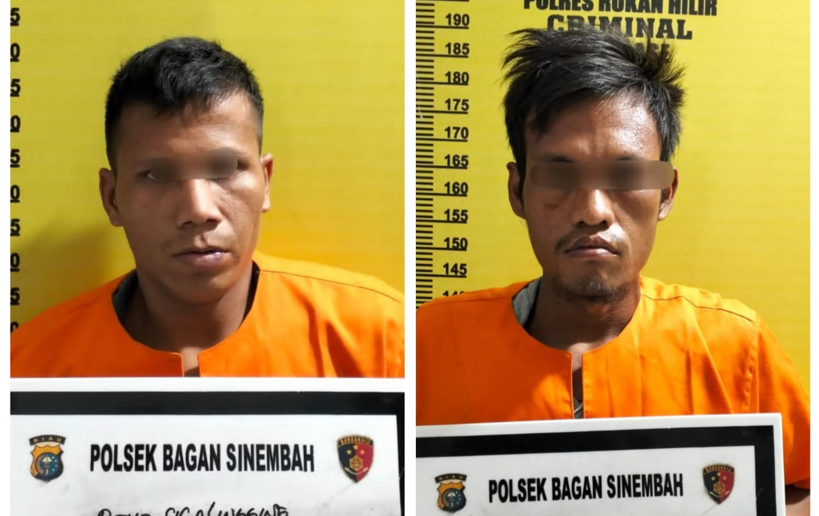 Dua Kawanan Spesialis Bongkar Rumah Diamankan Polsek Bagan Sinembah