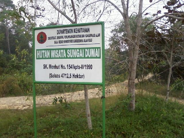 Pemko Bakal Jadikan Sungai Dumai Ikon Kota