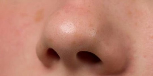 Kamu Harus tahu, Ternyata Lubang Kiri dan Kanan Hidung Manusia Beda Fungsi
