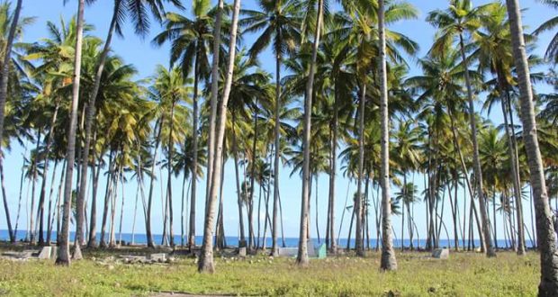 Deadline LKJ Ali Kelana Dimajukan 20 April 2023