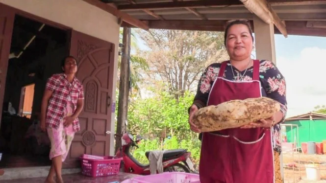 Wanita Ini Kaya Mendadak karena Muntahan Paus