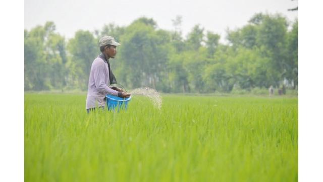 Penerapan SNI Angkat Daya Saing Pupuk Kaltim