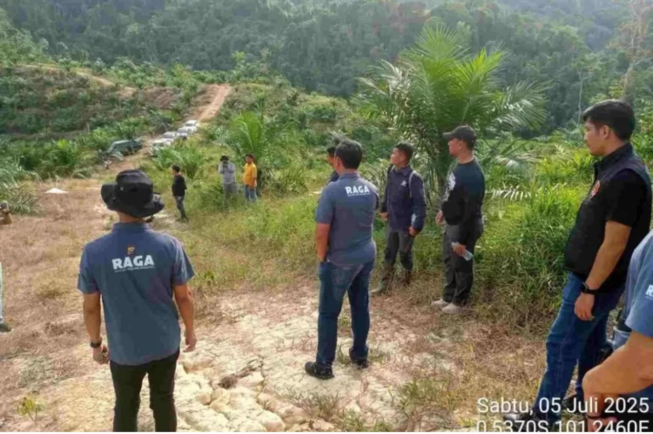 Dugaan Kebun Sawit Ilegal di Kawasan Hutan Kuansing, Nama Anggota DPRD Riau Disebut