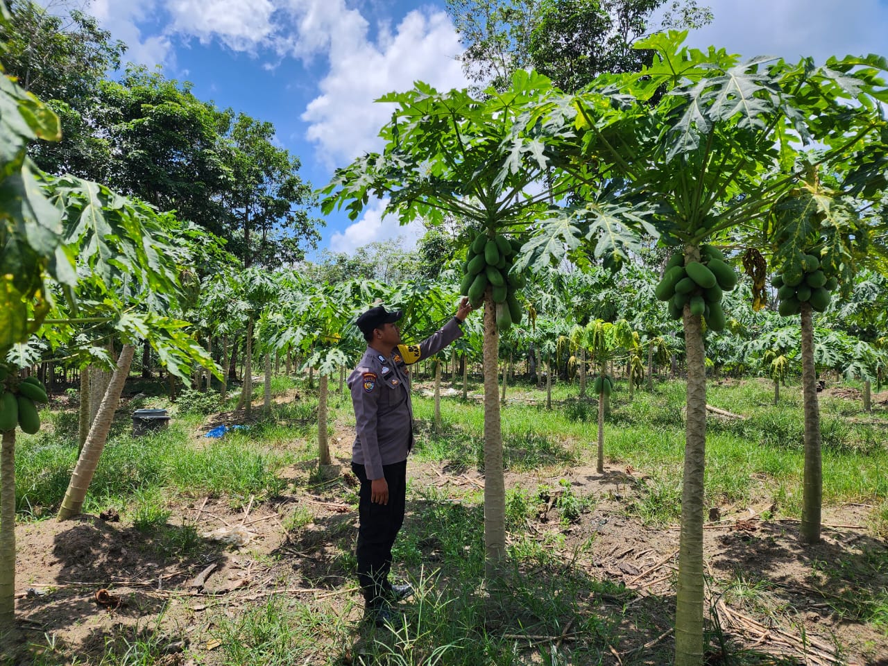 Ketahanan Pangan Jadi Langkah Produktif Polsek Bangko Pusako Dukung Asta Cita Presiden