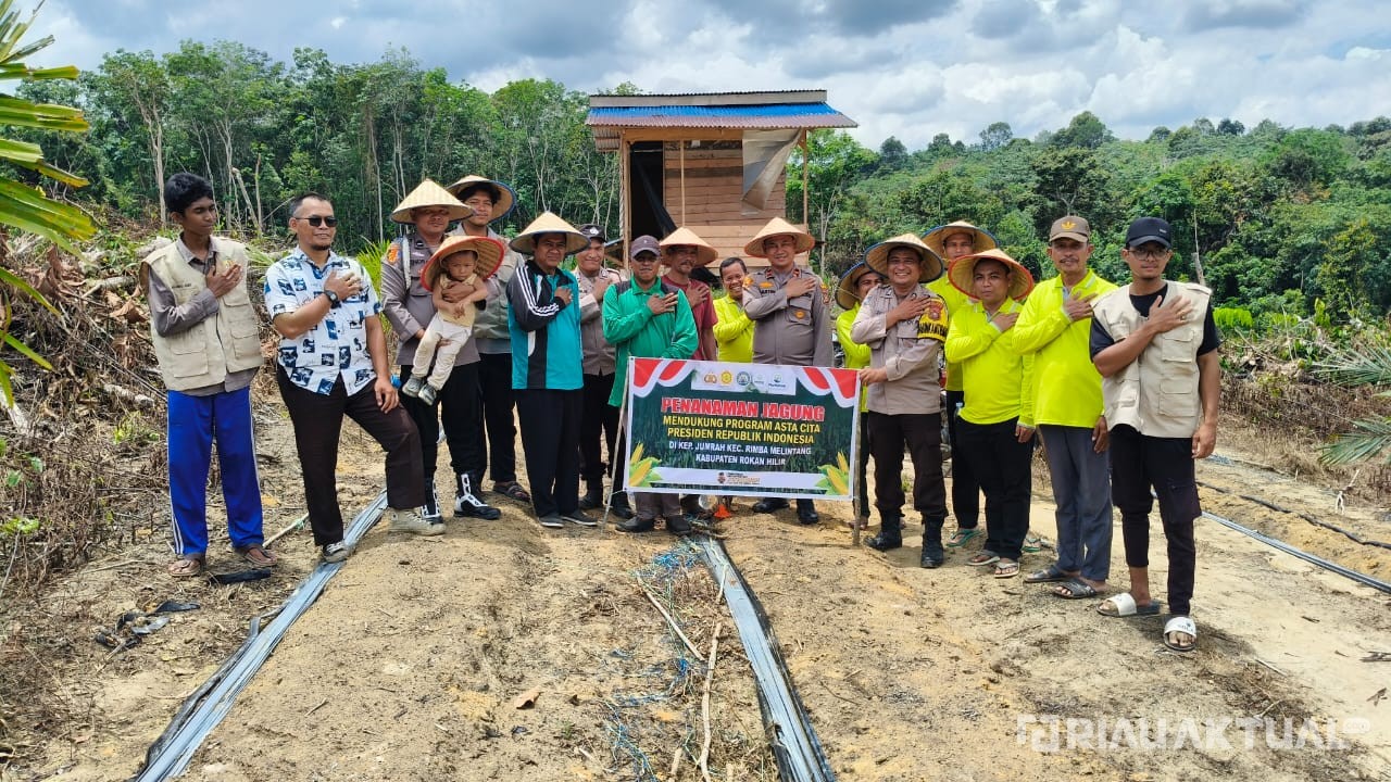 Kapolsek Rimba Melintang Bersama Warga Jumrah Tanam Jagung Serentak di Rohil