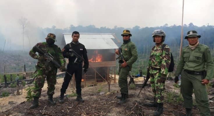 Satu Orang Pelaku Pembakar Taman Nasional Tesso Nilo Diamankan
