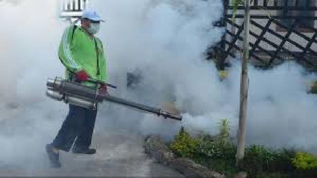 Anggaran Dipangkas, Diskes Tidak Bisa Memenuhi Permintaan Fogging Masyarakat