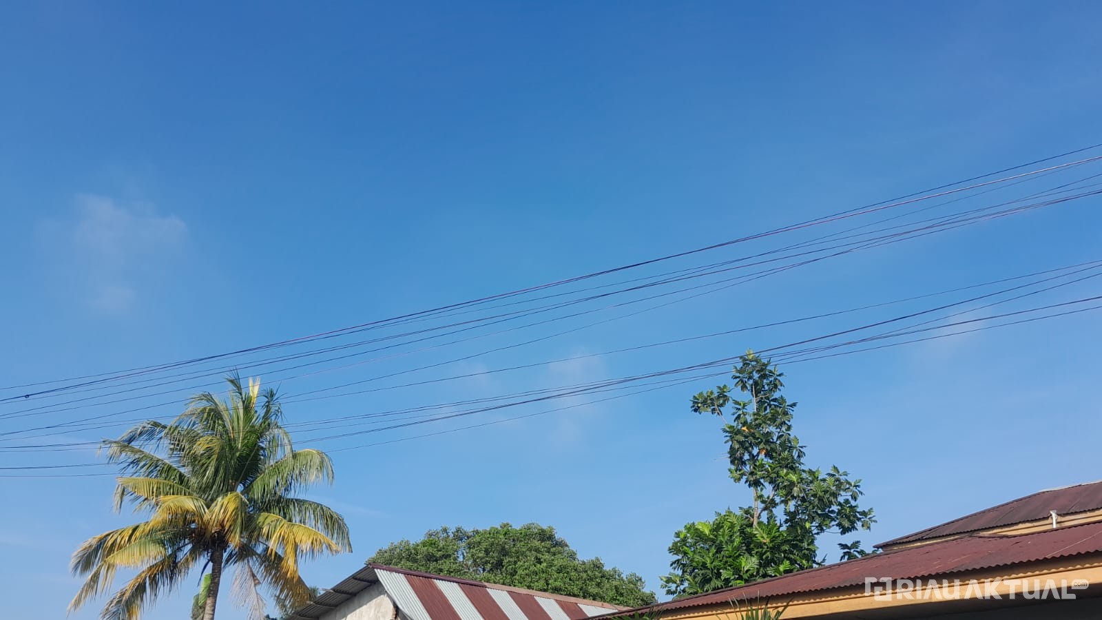 Hujan Minim, Hari Ini Riau Diprediksi Panas Terik, Suhu Udara Bisa Capai 35 Derajat Celsius