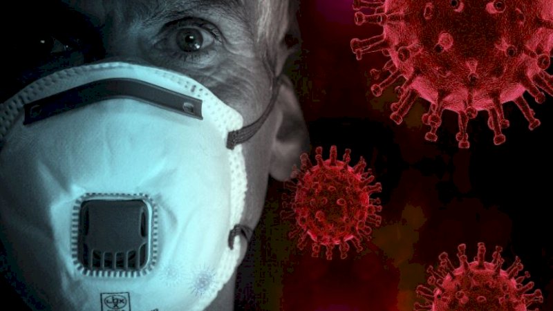 Ini Cara Covid-19 Menyerang Otak Lewat Hidung