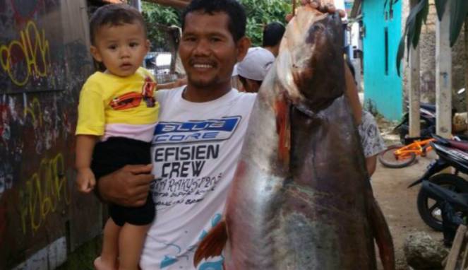 Geger, Pemancing Tangkap Ikan Raksasa