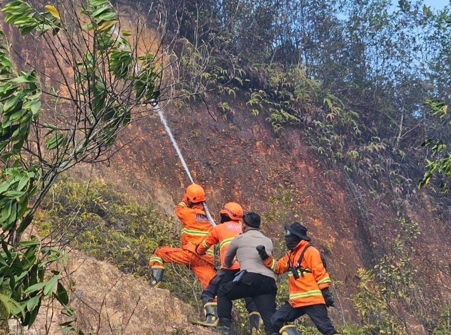 Jumlah Hotspot di Riau Menurun, Berikut Sebarannya