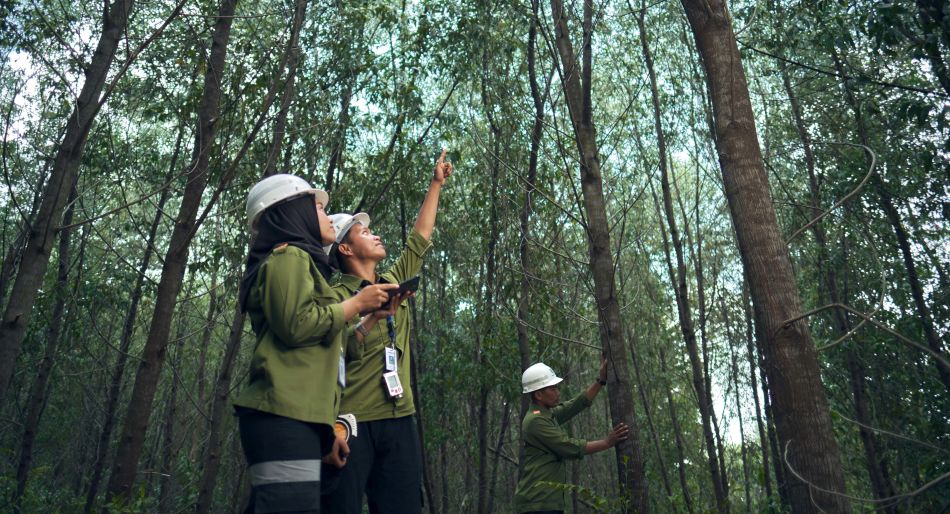 Hutan Dijaga, Harapan Ditanam: Merajut Masa Depan Hijau Berkelanjutan