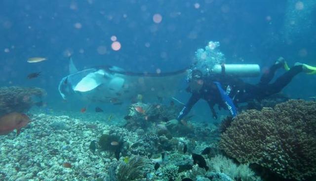 Kota dengan Biaya Penerbangan Termahal di Mei - Juni