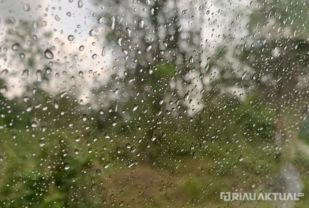 BMKG: Waspada Hujan Lebat Disertai Petir di Sejumlah Wilayah Riau Malam Hingga Dini Hari