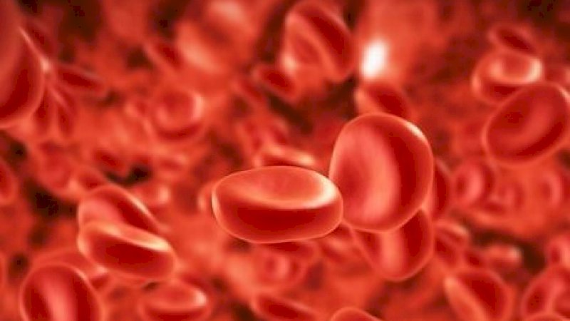 Darah Muda Bisa Perlambat Penuaan?