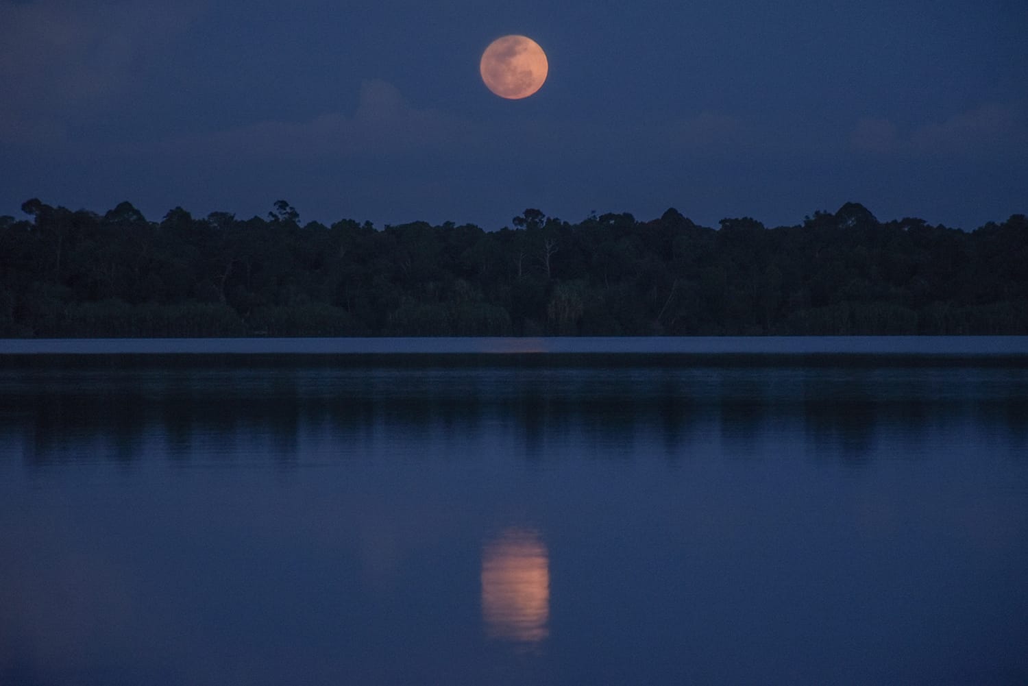 Meneroka Keindahan Zamrud, Serpihan Taman Surga di Kota Istana