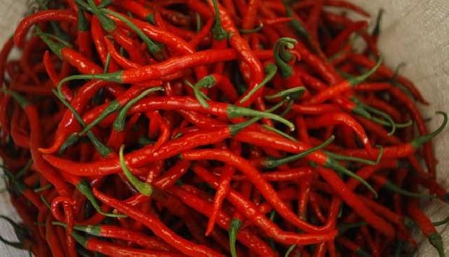 Harga Cabai Merah di Pekanbaru Semakin Pedas