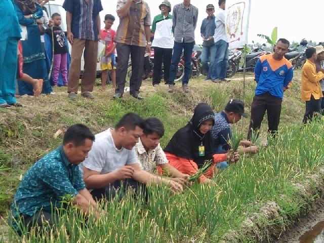 Kadis Pertanian Ajak Masyarakat Budidayakan Tanaman Holtikultura