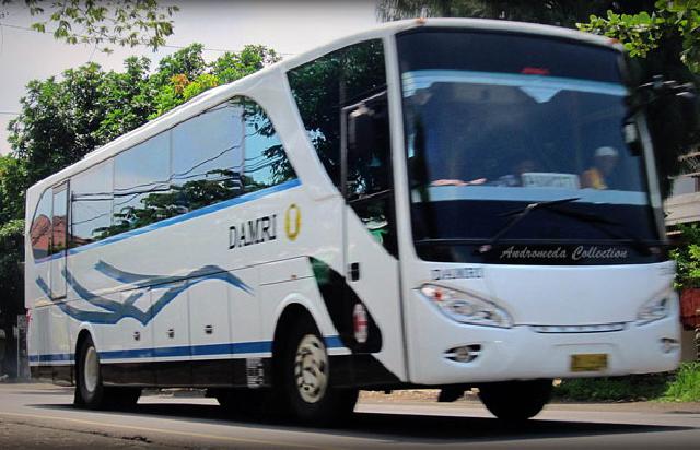 Keberadaan Bus Damri Perlu Sosialisasi