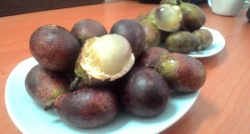 Berikut 3 Buah Asli Indonesia yang Bisa Bantu Perbaiki Gizi