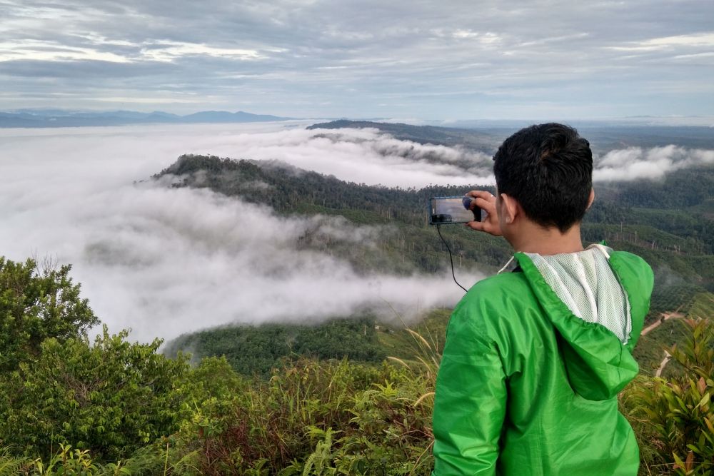 Alokasi Khusus Perhutanan Sosial Riau Luasnya 1.234.428 Ha