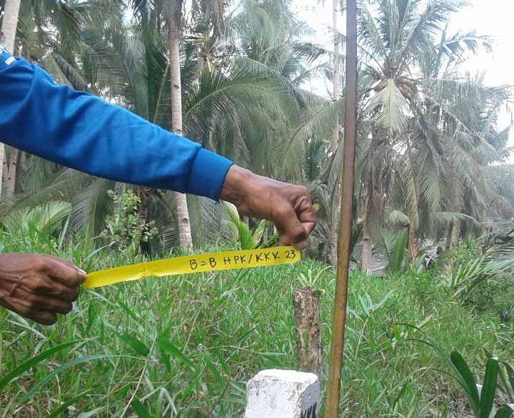 Masyarakat Tanah Merah Kabupaten Inhil Resah, PT K3 Diduga Patok Kebun Kelapa Produktif