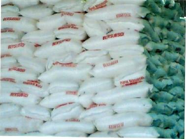 Program SITT Hemat Biaya Pupuk Kebun Sawit 25 Persen