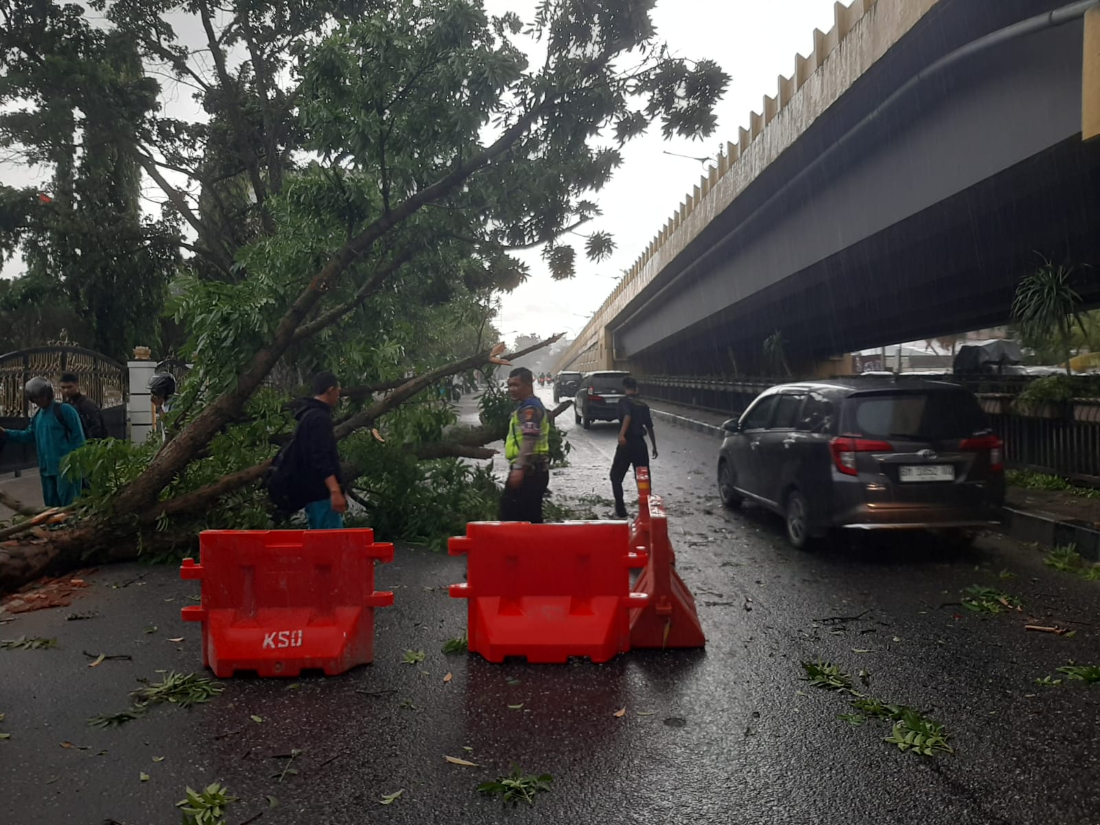Pohon Tumbang di Jalan Sudirman Pekanbaru