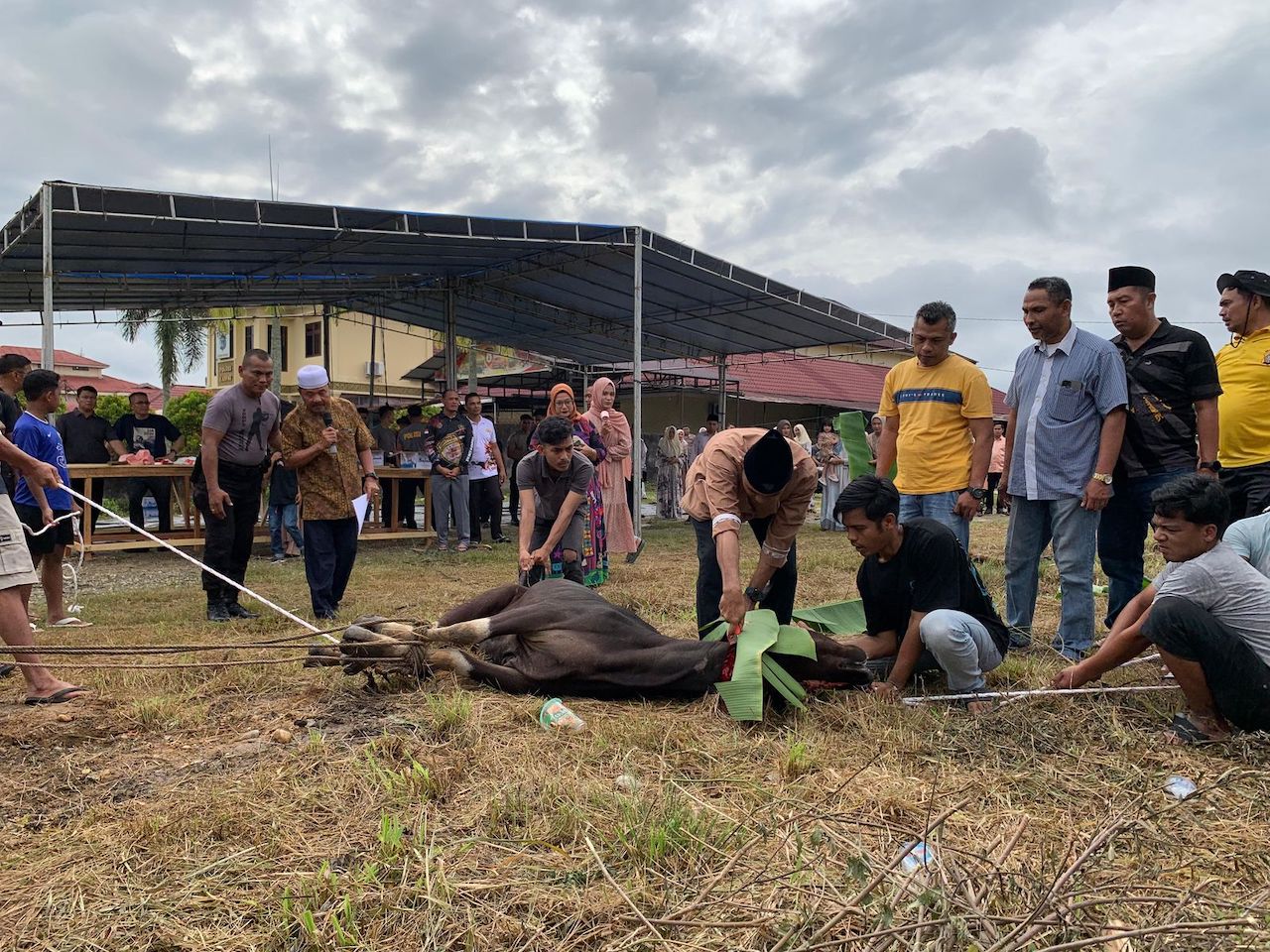 Kapolres Kampar Pimpin Penyembelihan Hewan Kurban, Tujuh Ekor Sapi Dibagikan ke Masyarakat