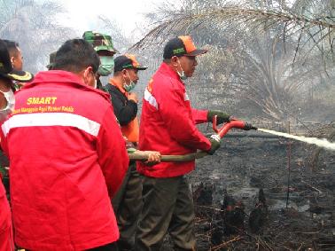 Menhut Tinjau Karhutla di Dumai