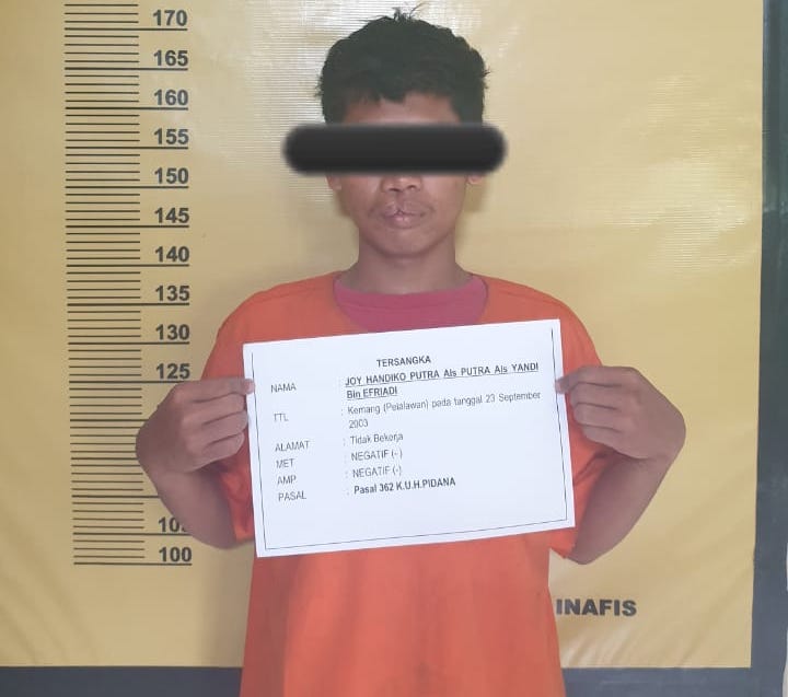 Pelaku Curanmor Parkiran Hotel Diringkus Tim Opsnal Bukit Raya di Sumsel