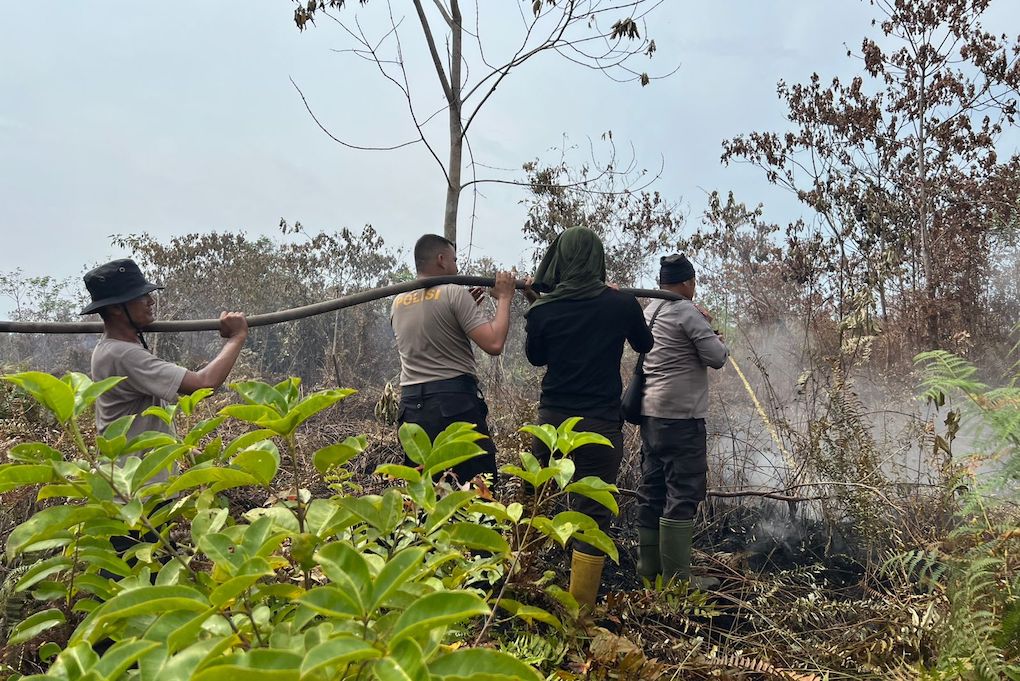 Karhutla Meluas di Meranti, 110 Hektare Lahan Terbakar