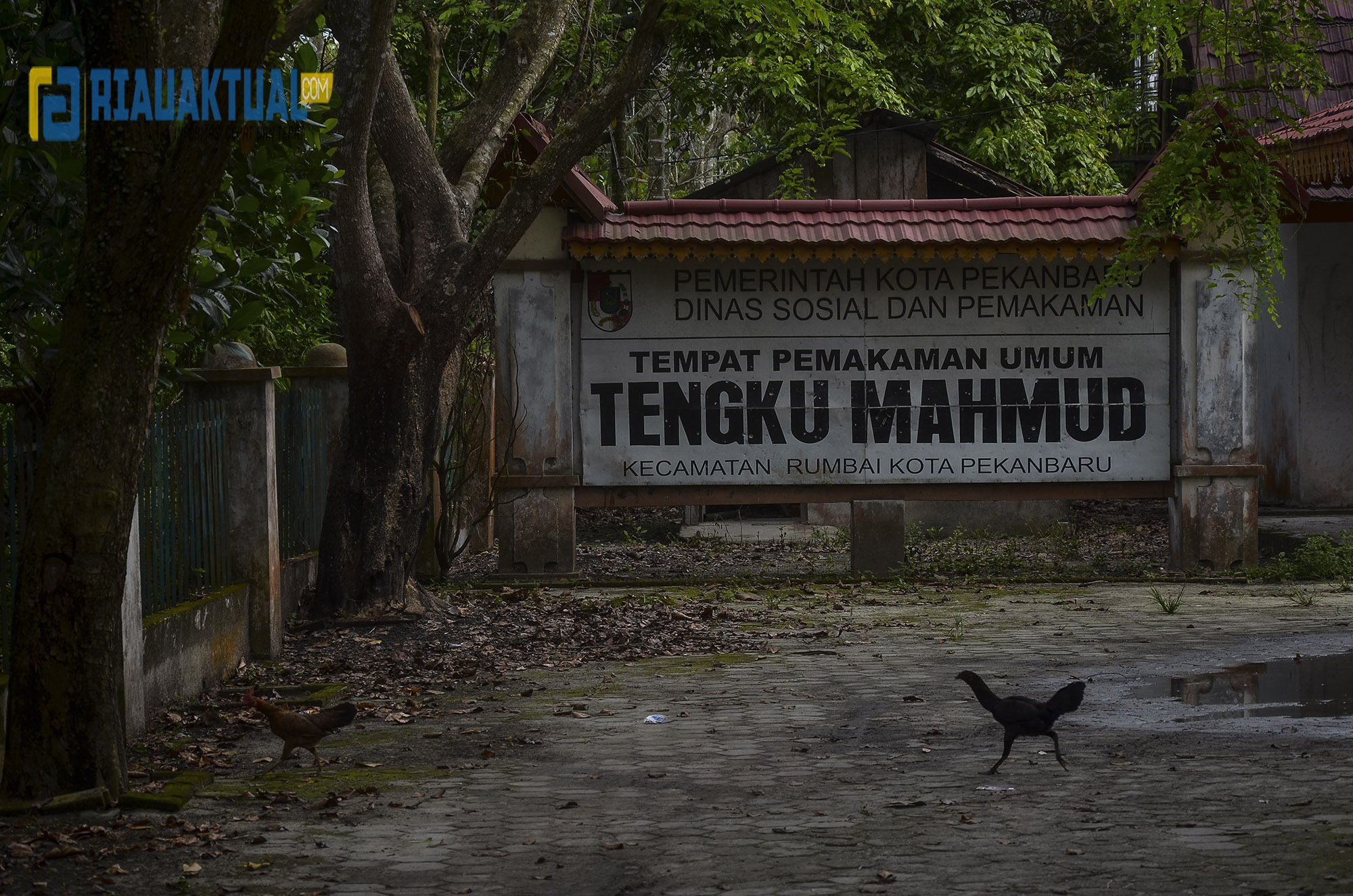 Pemko Pekanbaru Pertimbangkan Pemindahan Pemakaman Jenazah Non Covid-19 Dari TPU Tengku Mahmud 