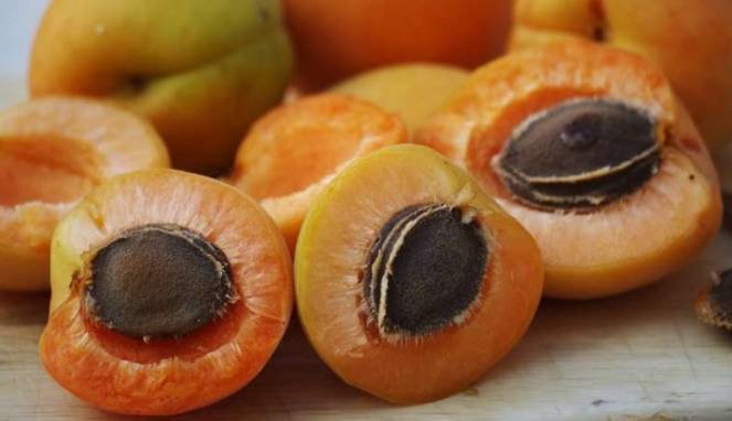 Hati-hati Biji Buah Ini Bisa Membunuh Anda