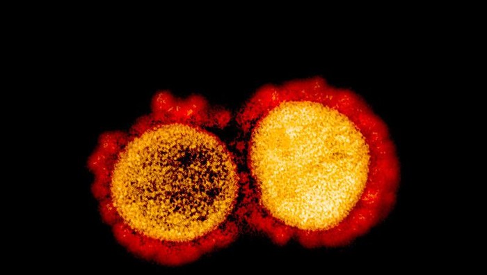 Pakar: Besar Kemungkinan Corona Mutan Ganda India Masuk RI, Ini Alasannya