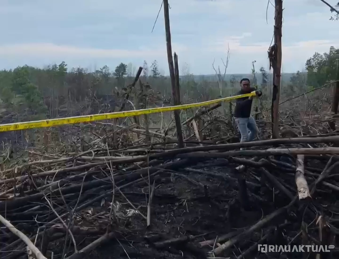 Polisi Pasang Police Line di TNTN Habitat Gajah dan Harimau, 5 Hektare Sengaja Dibakar