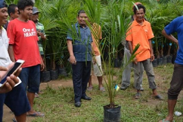 Komisi B DPRD Kuansing Himbau, Masyarakat Agar Tidak Menerima Bibit Rusak