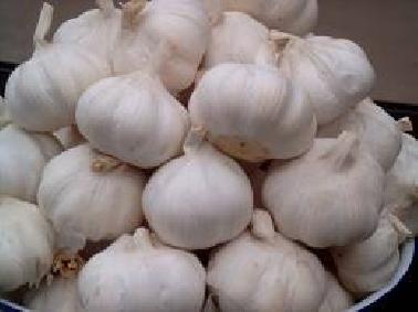 Impor Dibatasi Harga Bawang Putih Melonjak 300 persen di Pekanbaru