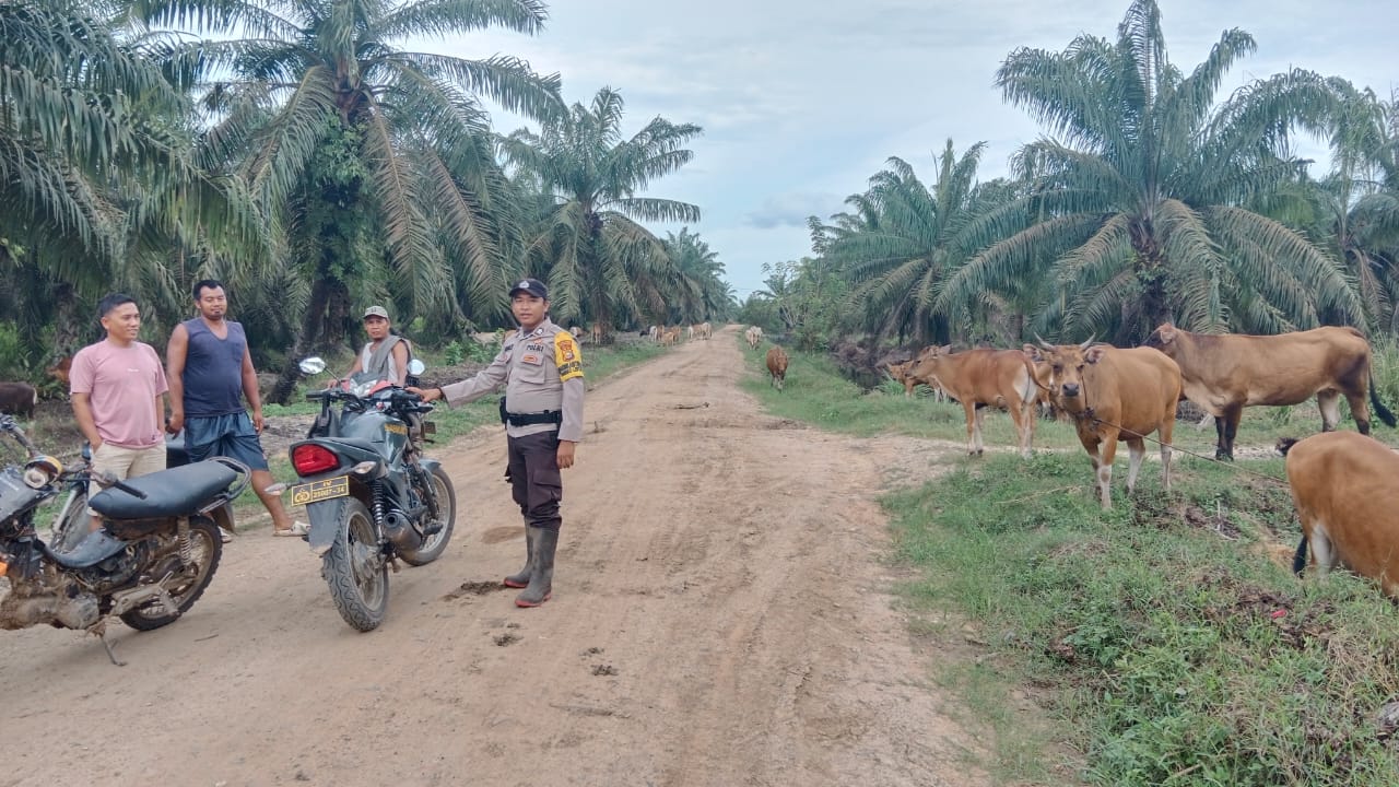 Polsek Bangko Pusako Dukung Ketahanan Pangan di Kepenghuluan Bangko Lestari