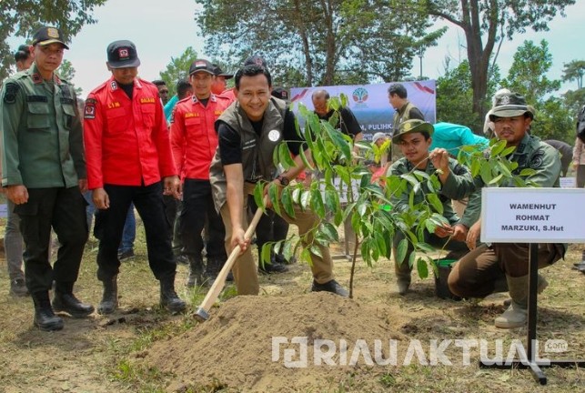 Komitmen Pulihkan Hutan Riau, Wamen LHK Tanam Pohon di TNTN Pelalawan